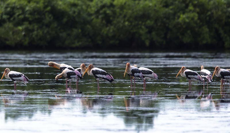 Nam Dinh & Xuan Thuy National Park Eco Bike tour in 2 Days
